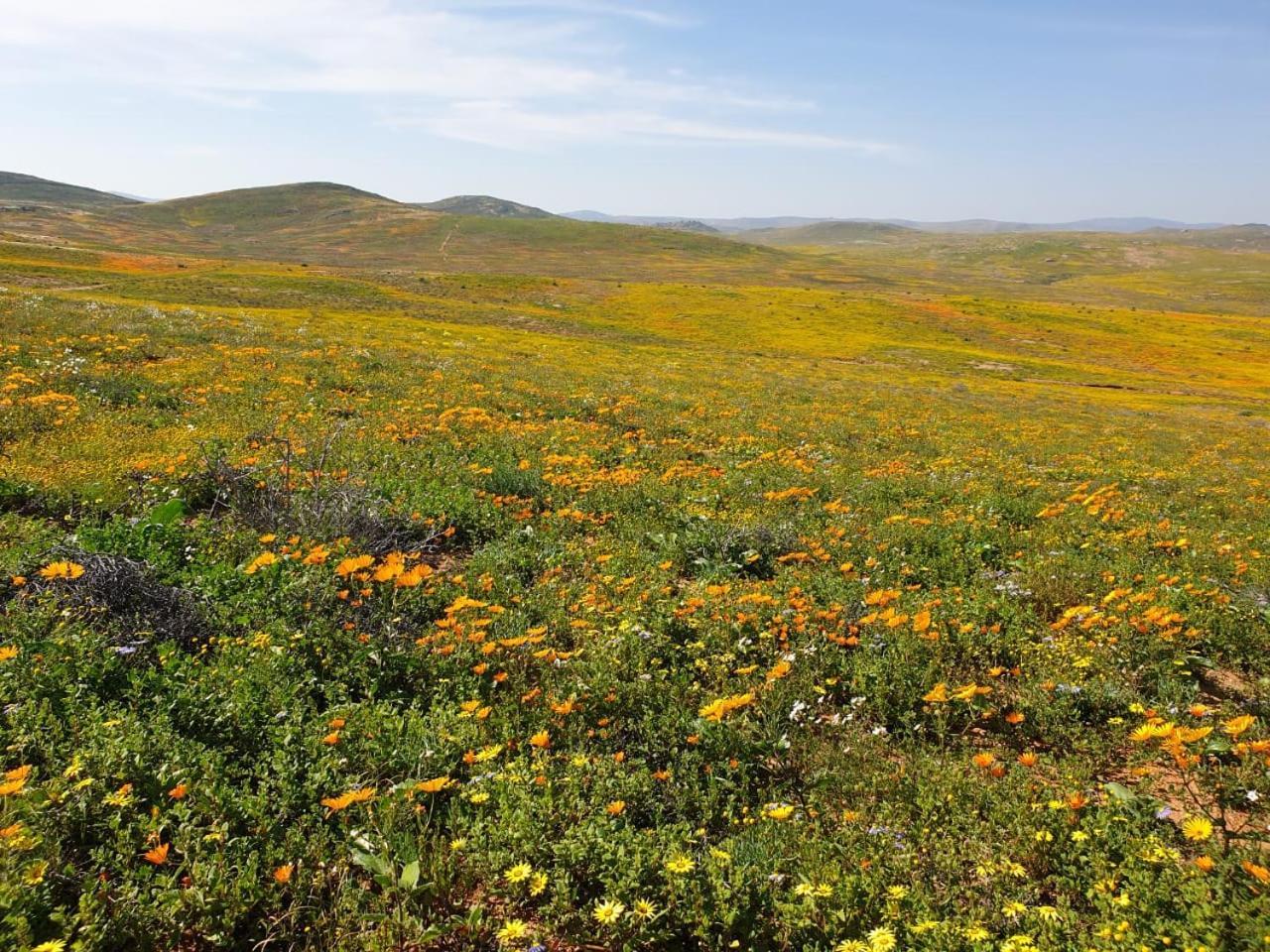 Namaqualand Eco Lodge Soebatsfontein المظهر الخارجي الصورة